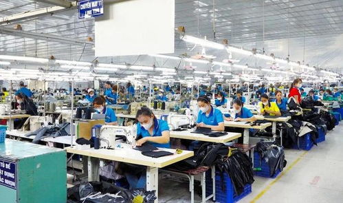 東莞電子廠外遷越南，工人失業困境與網絡技術服務解決方案
